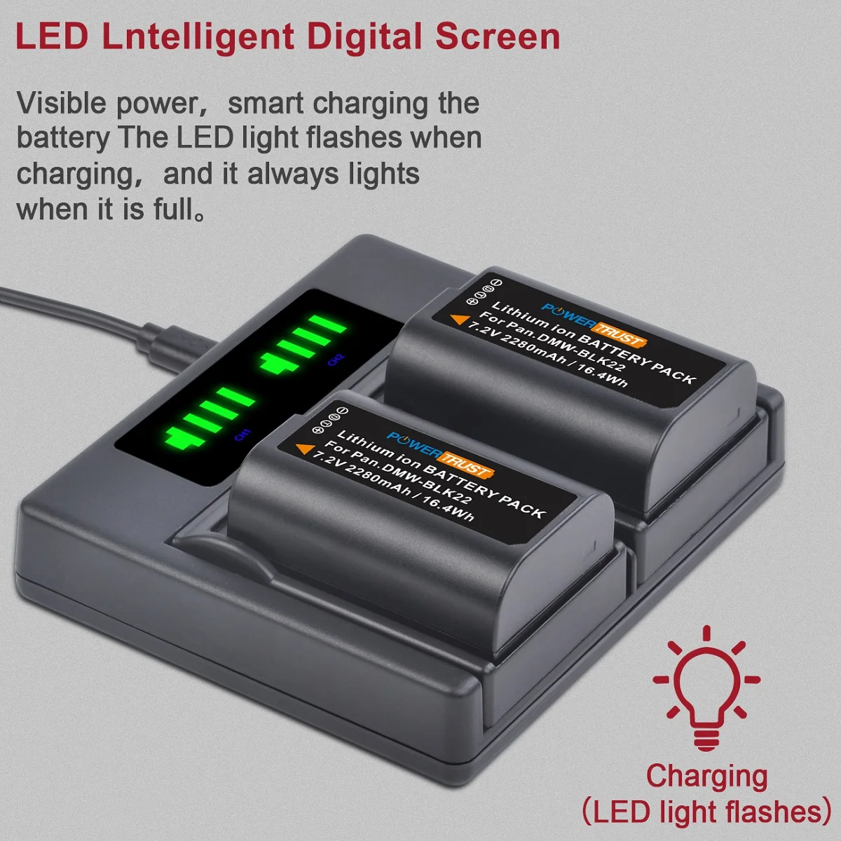 Bateria de substituição/carregador de bateria de baía dupla para panasonic DMW-BLK22 e lumix DC-S5, gh6, gh5 ii, DC-S5KK câmeras digitais