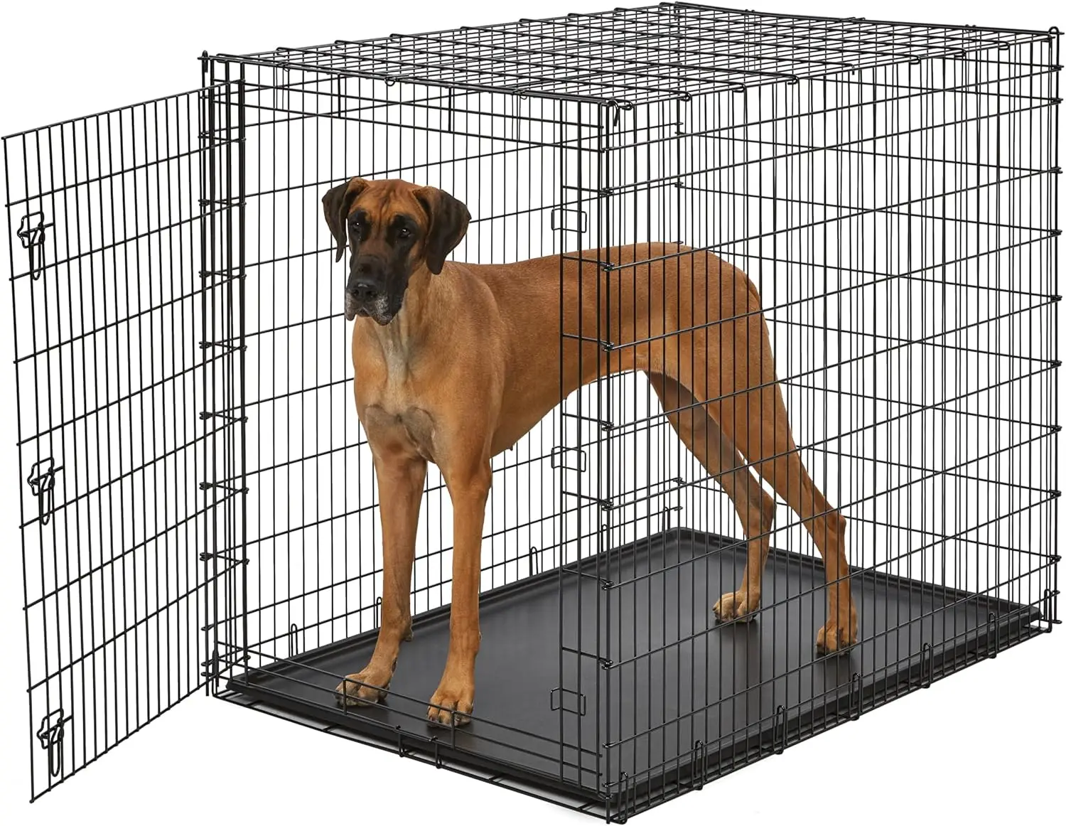 

Ginormous Single Door 54-Inch Dog Crate for XXL Dogs Breeds; Great Dane, Mastiff, St. Bernard, Drop Pin Assembly Requires