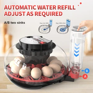 100 yumurtaya kadar en çok satılan 8 brooder - no. 7