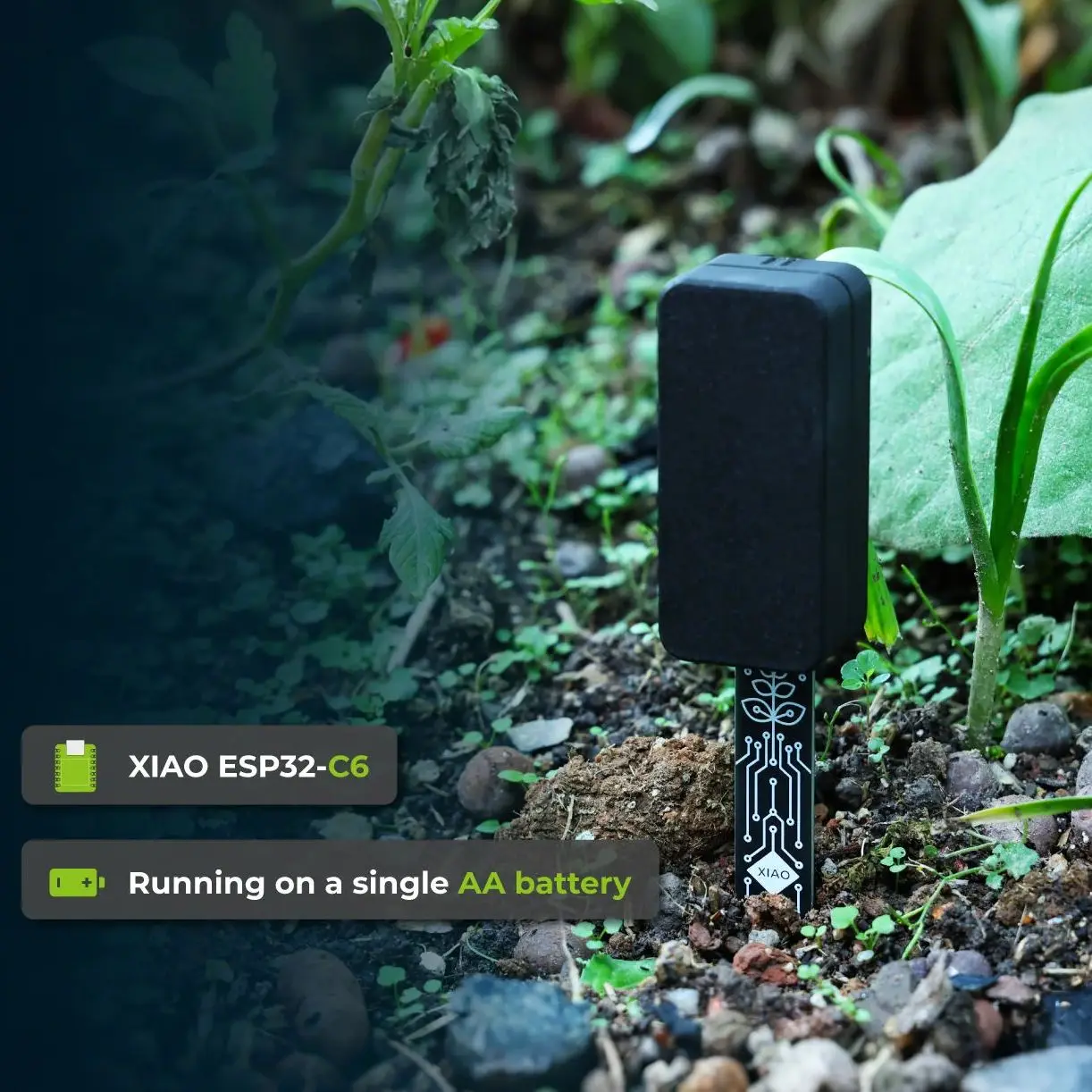 XIAO bodemvochtsensor: ESP32-C6 aangedreven, ESPHome/Home Assistant compatibel voor planten