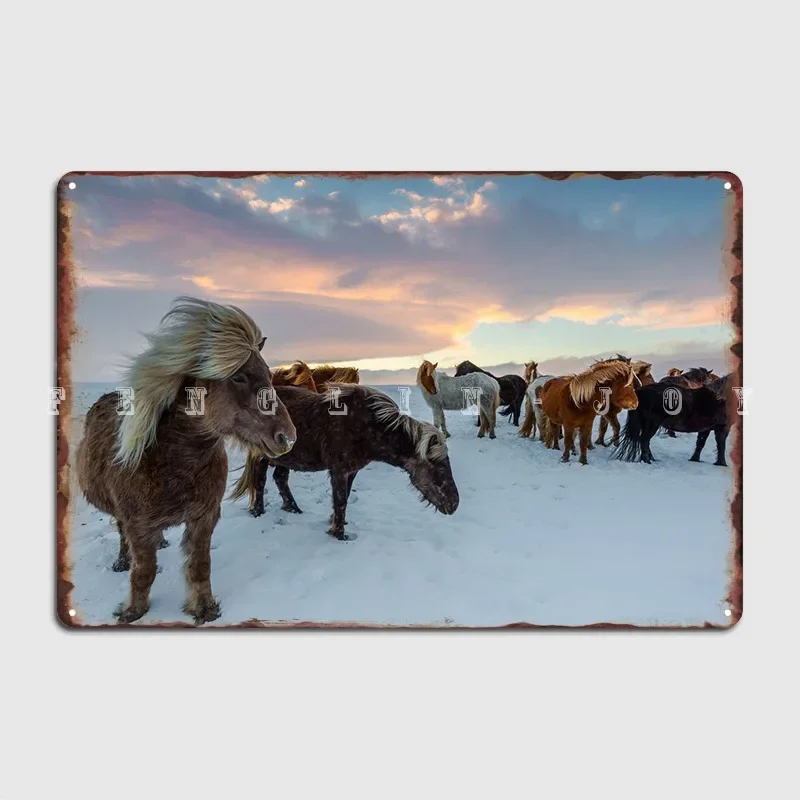 الخيول الأيسلندية في الثلج لوحة معدنية ملصق نادي بار جدار الكهف الرجعية المرآب الديكور تين تسجيل الملصقات