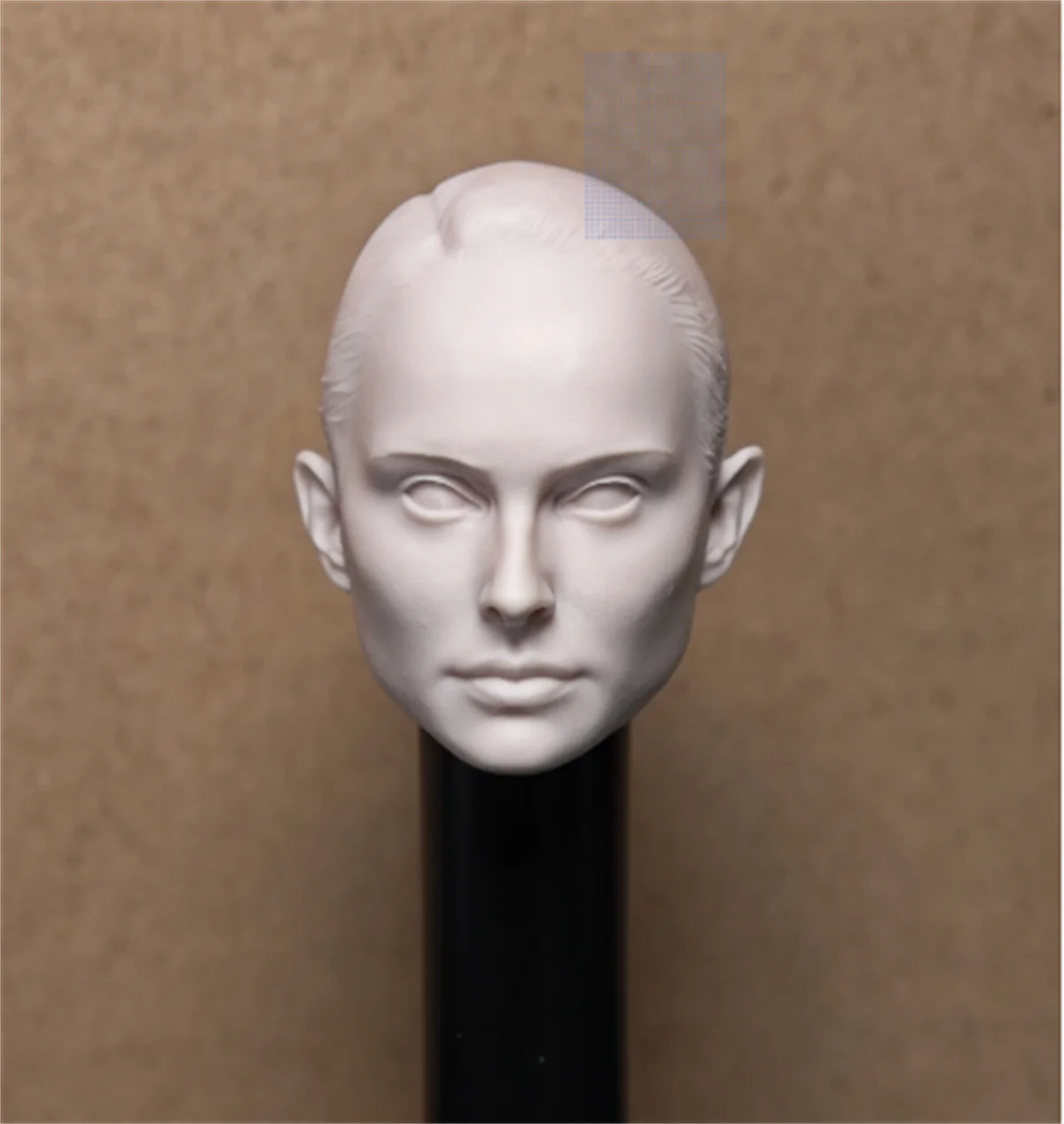 1/6  Natalie Portman Head Sculpture  Anime Star 3D  Customize Toys Unpainted 1/6 Toys Model Fit 12