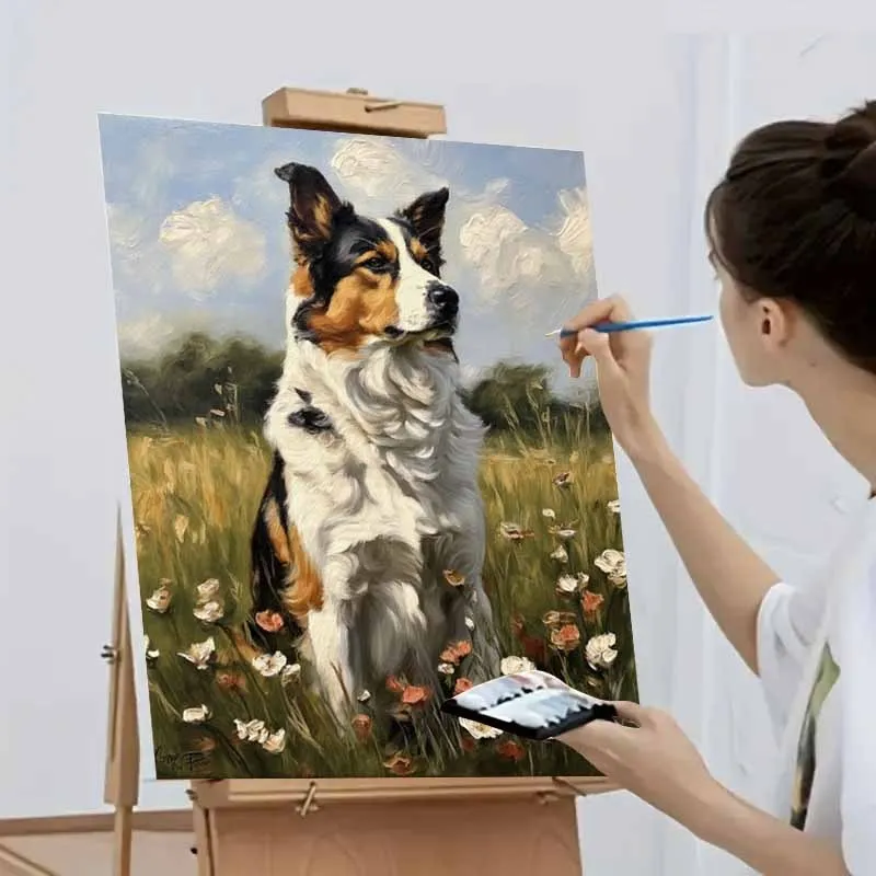 Oil Painting By Numbers Border Collie in Meadow Kits Number Drawing Canvas DIY Pictures By Numbers Home Decor Gift for Friend
