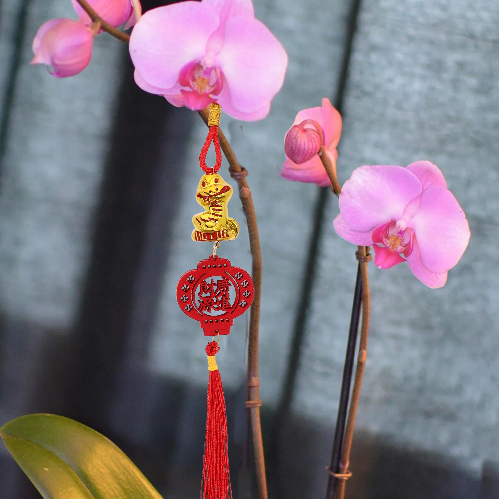 5Pcs Chinese New Year Snake Year Tassel Pendant Wooden Hanging Decoration Lucky Charm Rear View Mirror Car Home Festival