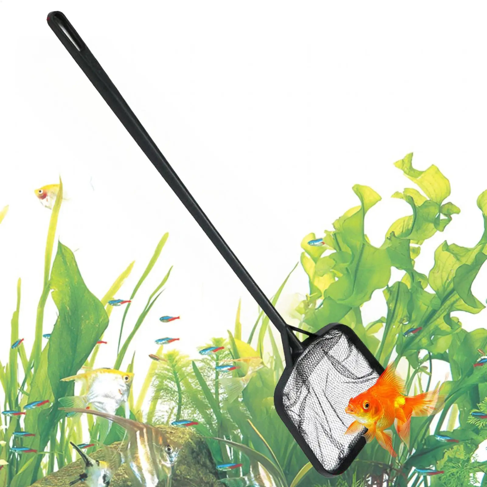 35cm Aquarium-Fischnetz Feinmaschiges Skimmer-Filternetz für Kleine Fischbecken Fangnetz mit Komfortgriff