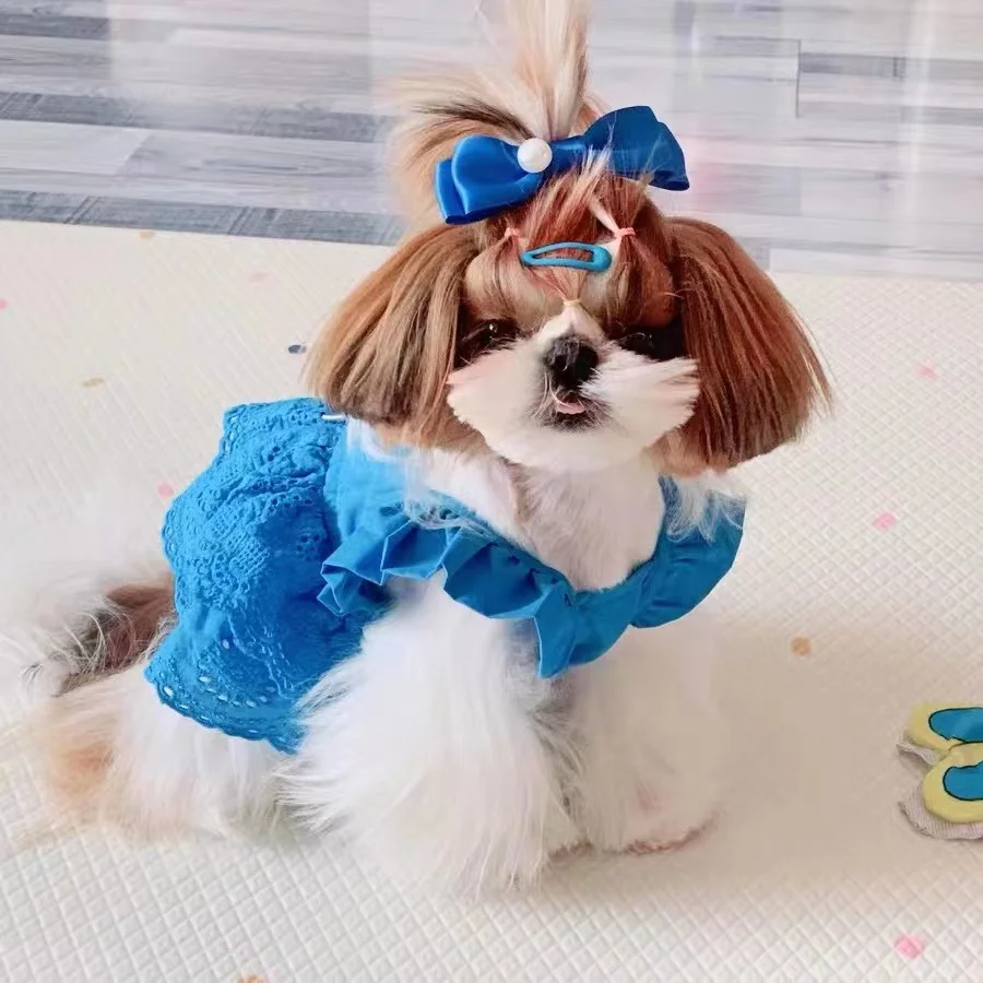 

Fashion Blue Pet Clothes New Korean Dog Clothes Fly Sleeve Lace Skirt Teddy Bichon Traction Clothes Puppy Summer Dresses