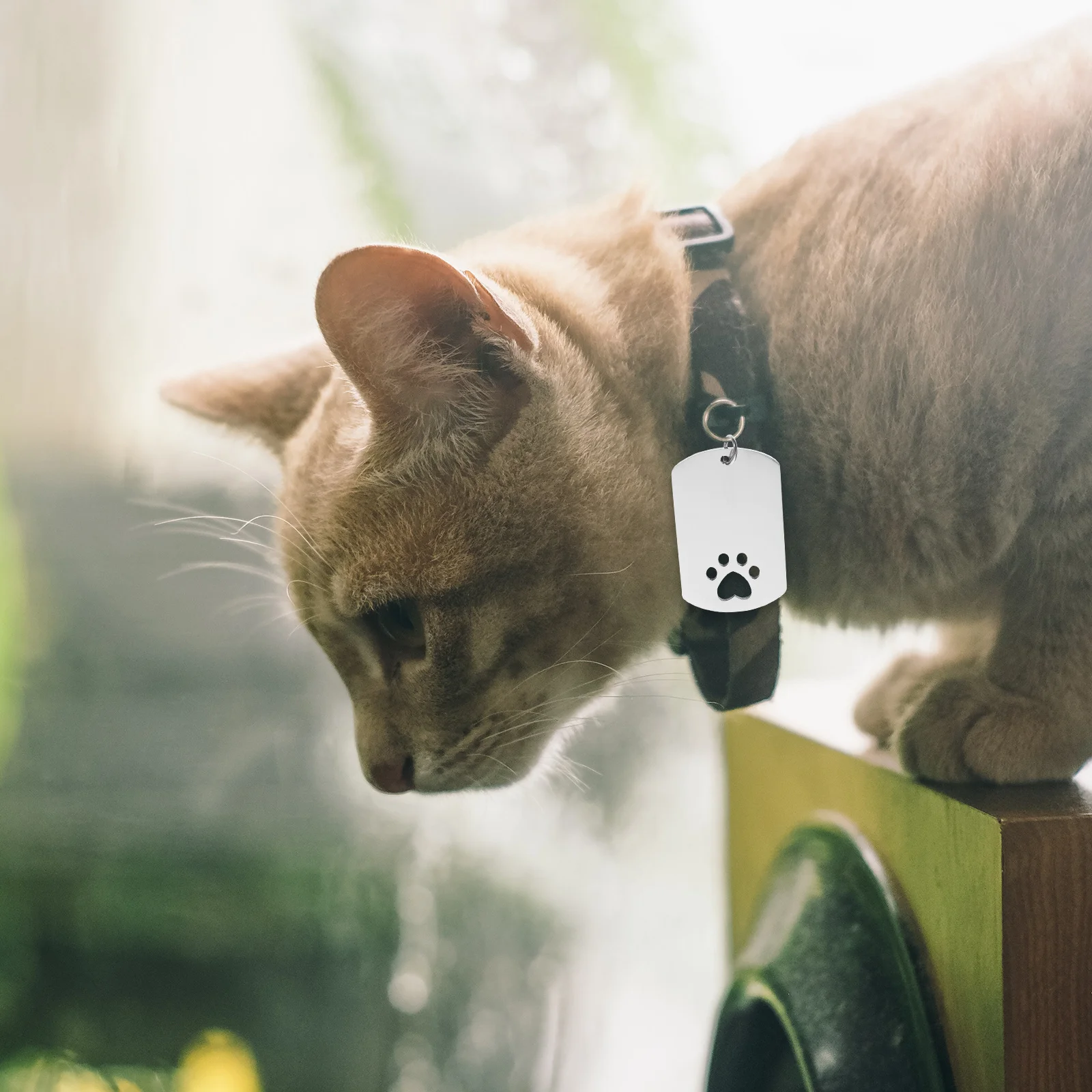 

4Pcs Dog Paw Shape Pet Id Tags Metal Dog Tags Stainless Name Tag for Pets Anti-Lost Solution Puppy Name Tag