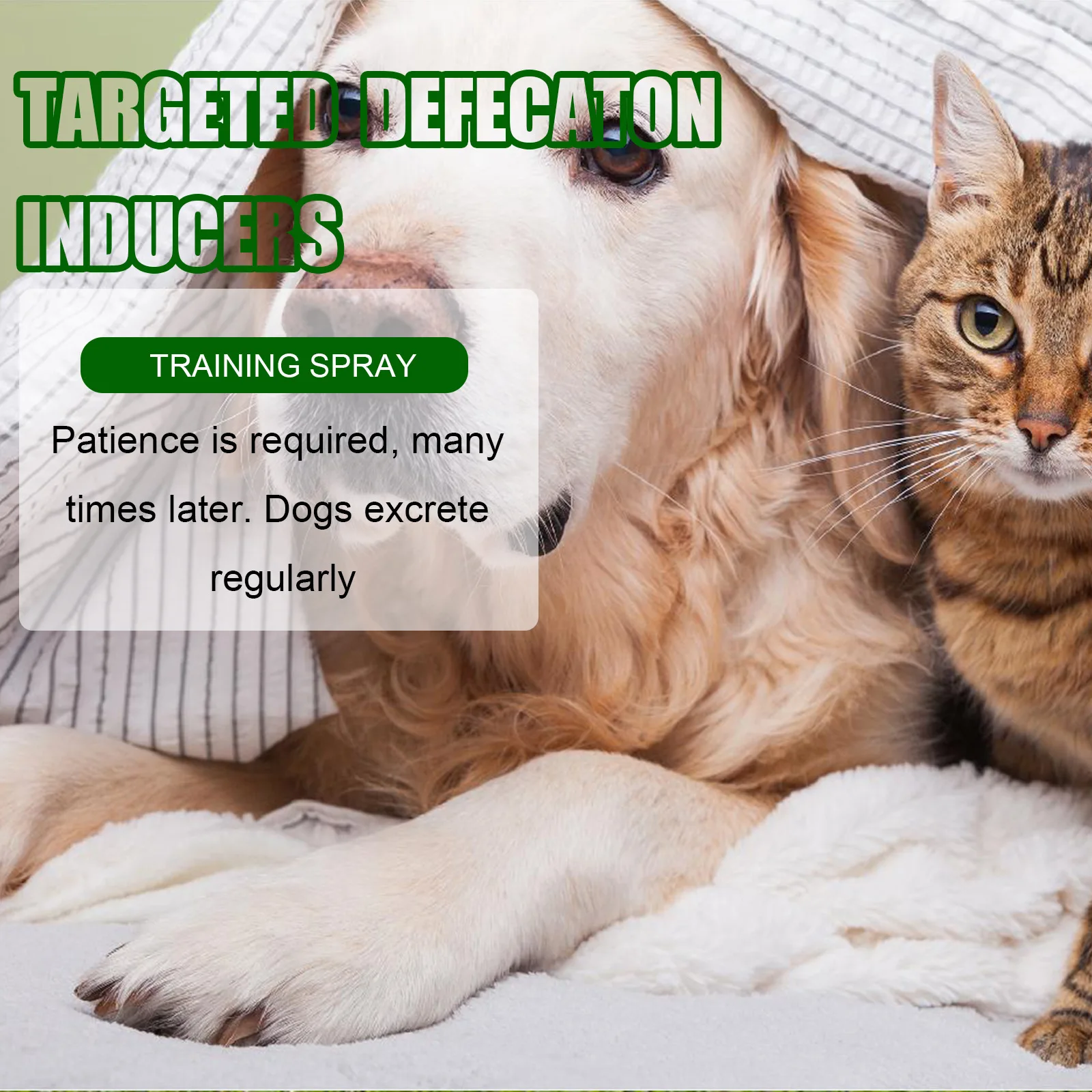 Pet Defecation Training Agent Spray Control Behavier To Go To The Toilet No Stimulation For Dogs And Cats Pets Training Series