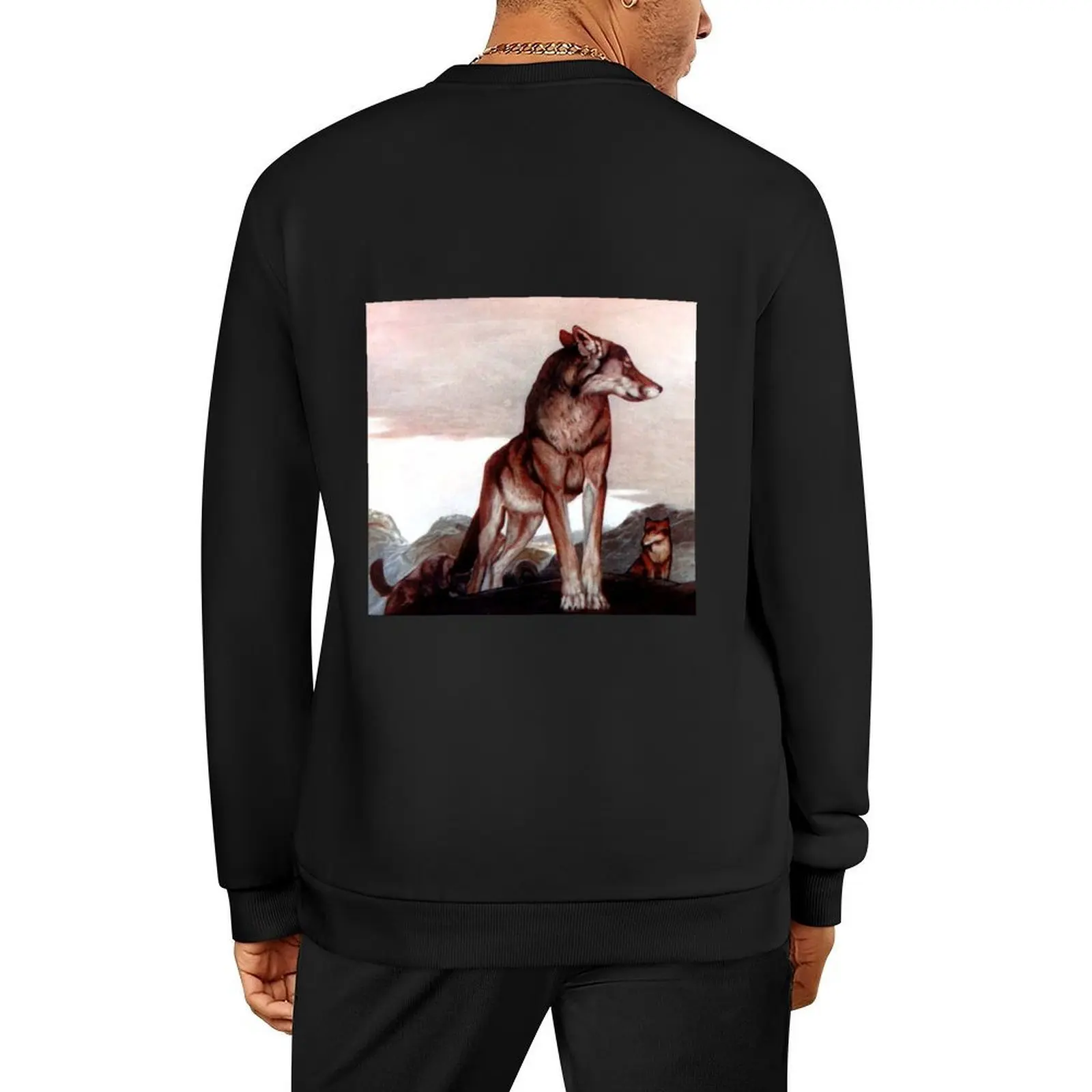 كتاب الغابة - Akela Lone Wolf - إدوارد يوليوس ديتمولد، موريس ديتمولد بلوفر رجالي ملابس جديدة هوديس وبلوزات