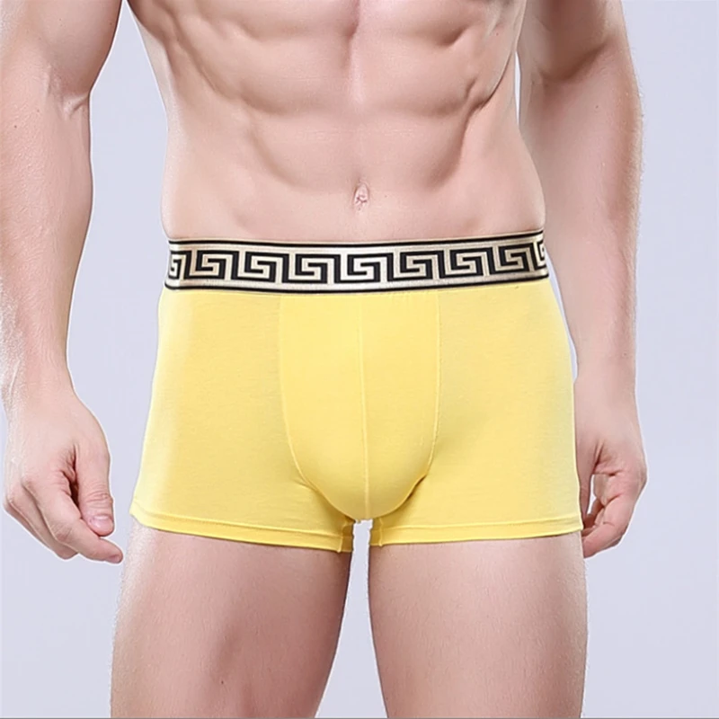 Retail Men\'s Cotton Underwear New Pure Cotton Fabric Trendy Boxers Boxer Shorts High-End Hot Men Underwear Sexy