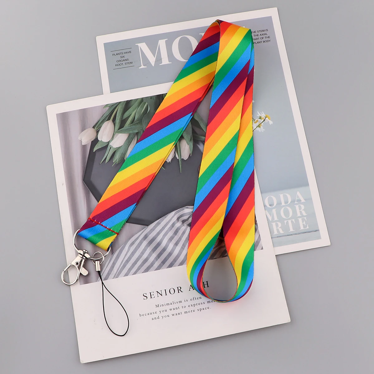 ER1979 Rainbow พวงกุญแจหมวดหมู่สายคล้องคอ Lanyards สำหรับคีย์ ID Card Pass Gym โทรศัพท์มือถือ USB ผู้ถือป้าย DIY แขวนเชือก