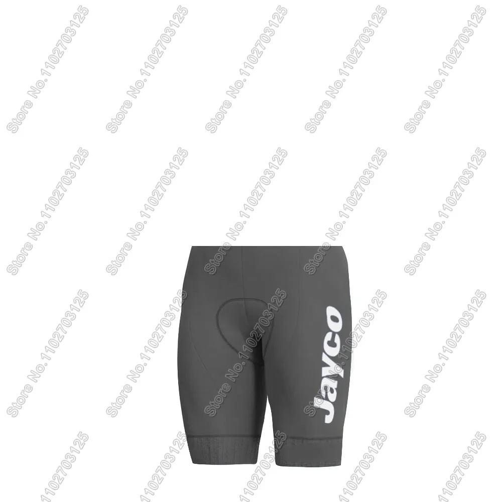 2025 shorts6