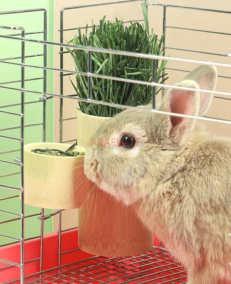 

1 шт. кролик, бамбук, подставка для травы, миска для еды, голландская свинья, Тоторо, бамбуковая миска, клетка для травы с защитой от царапин, фиксированная раковина для кормления