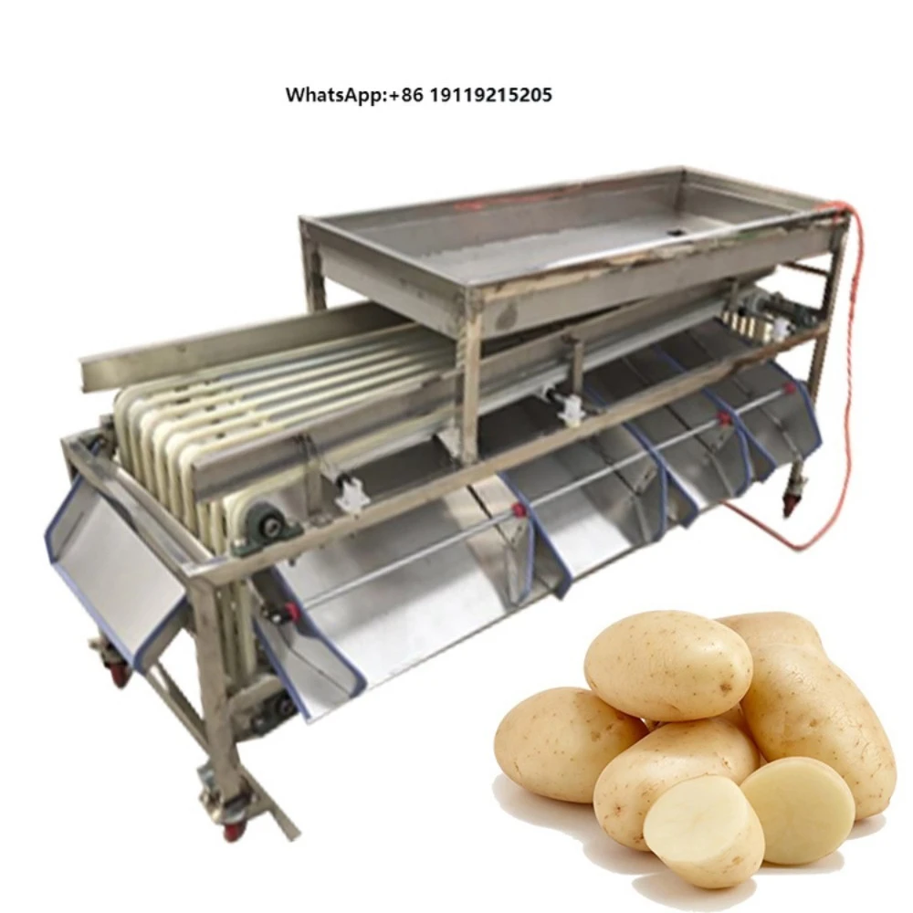 Professional Factory Supply Vegetable Tomato Sorting Fruit Calibrating Machine Fruit Calibrator Price