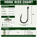 Size 13