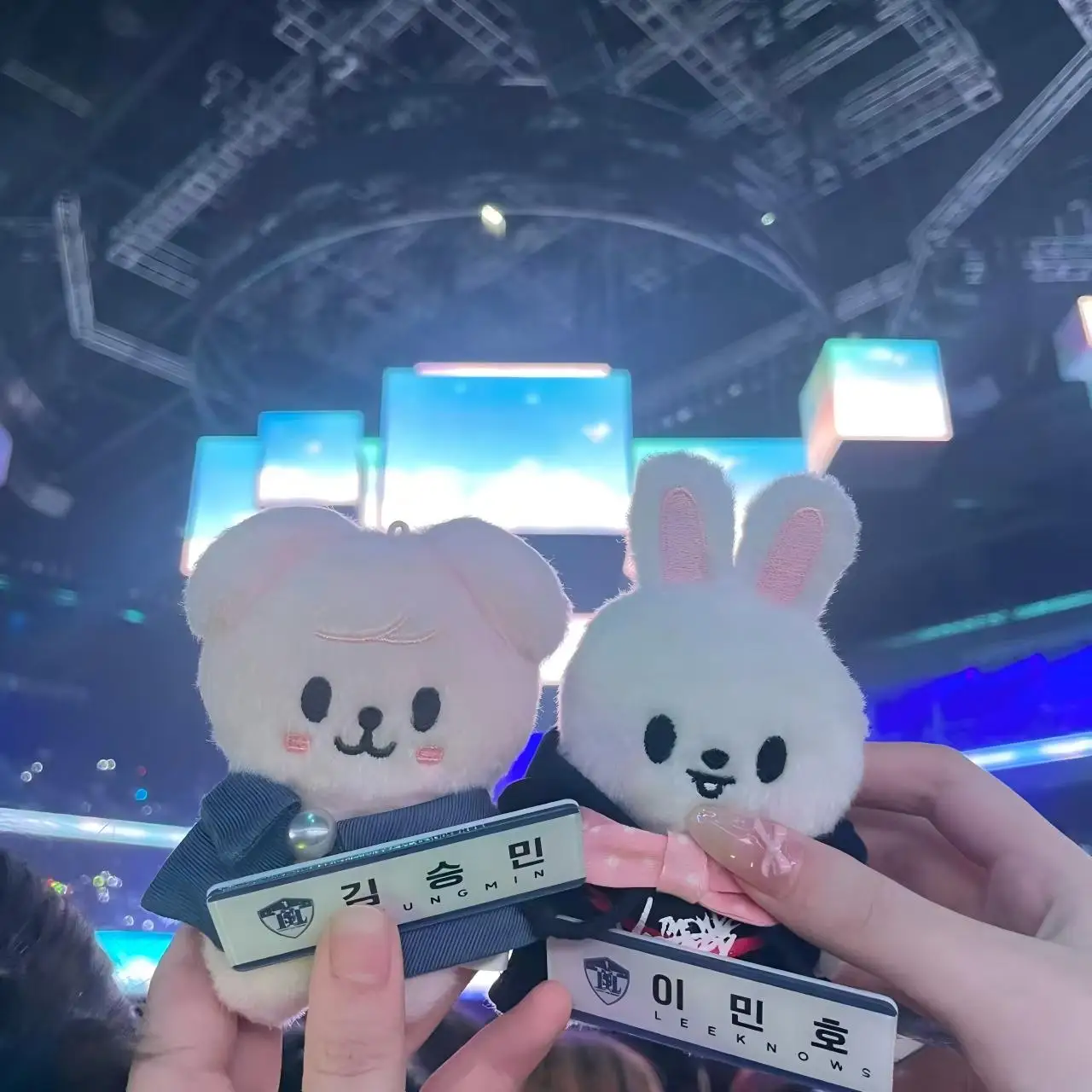 

10CM KPOP SKZOO Stray Kids Magic Academy Flash Series Plush Bag Keychain Pendant Fan Essential Toy Gift