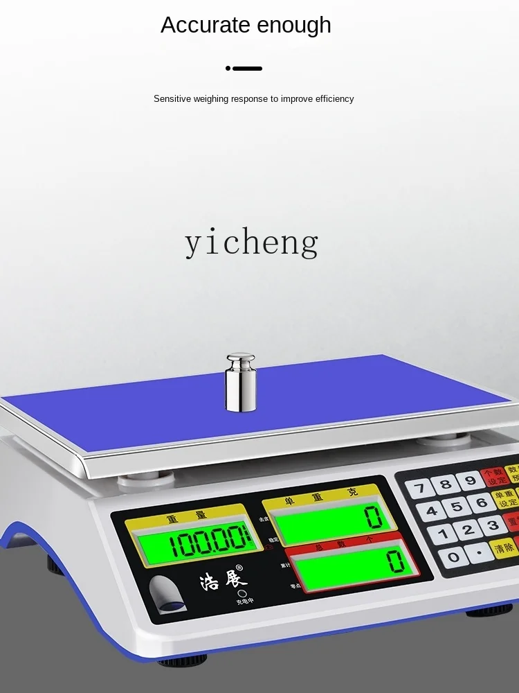 ZC Electronic Scale Commercial Platform Scale High Precision Weighing Scale Small Precision