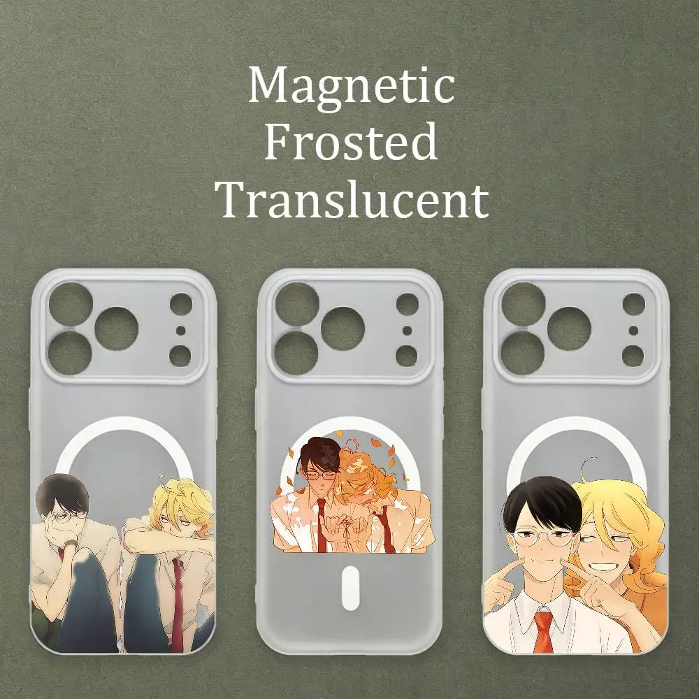 

D-DoukyuuseiS Magnetic Matte Semi Clear Soft Case For MagSafe Shell iPhone 11 15 17 16 12 14 13 Pro Max