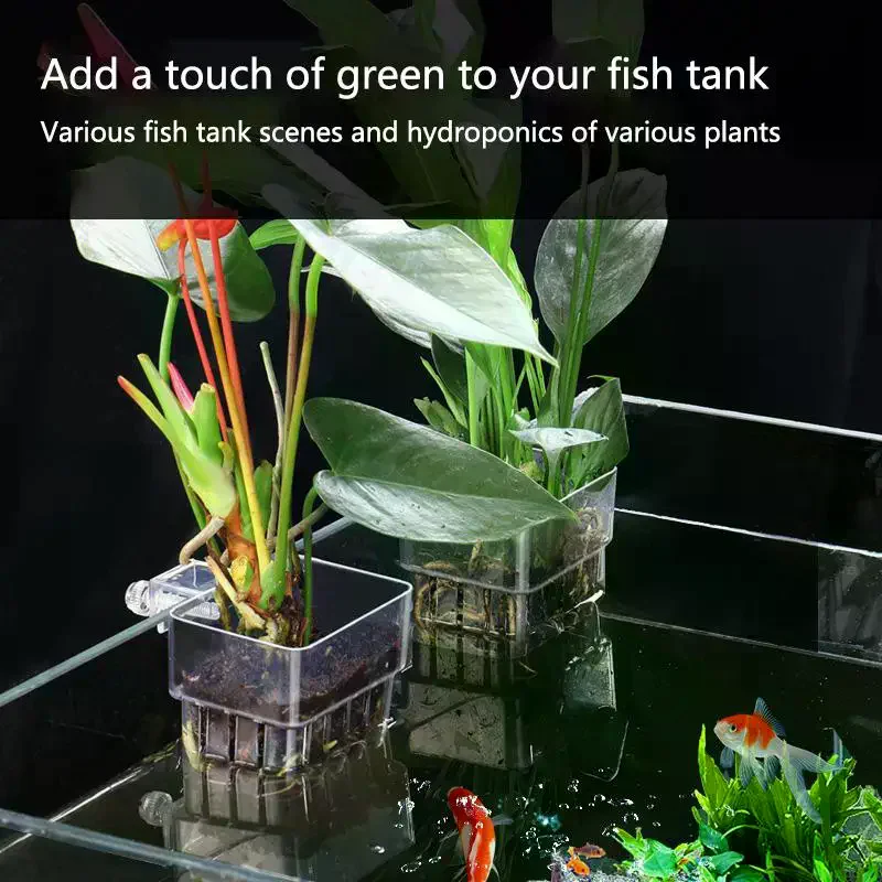 Fish Tank Aquatic Plant Cup 2  - Aquarium Plant Roots recension och pris