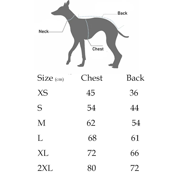 Suéter invierno cuello alto para Whippet y galgos españoles – calabaza - imagen 2
