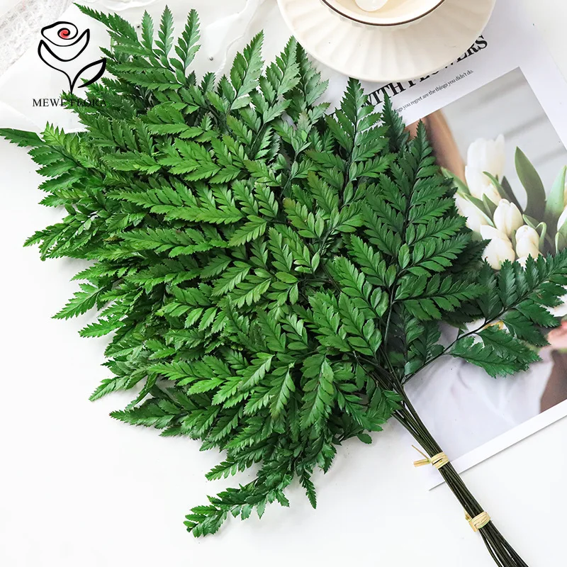 Dried Flowers Natural Goat Tooth Wedding Decorataion Fresh Preserved Flower Fiddlehead Ferns Leaves Plants Boho Home Table Decor - Image 5