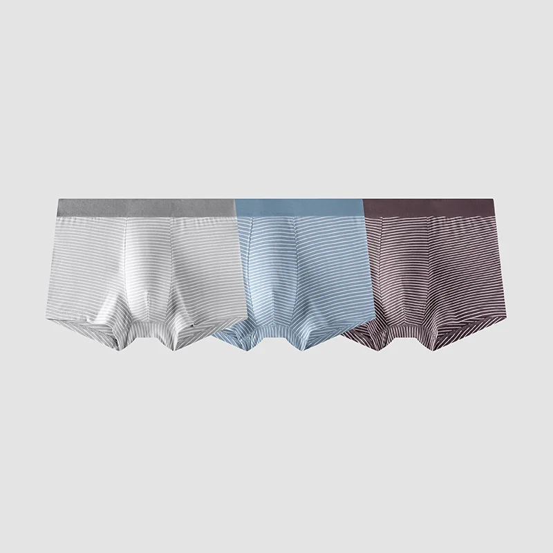 Semir Underwear Men Ice Silk Boxer Shorts Sexy Cute Male Panties For Lovers Gift