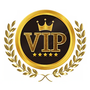 

2026 Customized VIP Link---120pcs*12