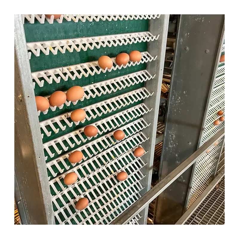

High Quality Hot Dip Galvanized Automatic Poultry Raising Equipment Battery Cages for Broilers Layers New Condition