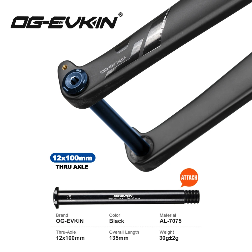 FK010 Carbon Gravel Fork Disc Brake 700C 12x100 Thru-Axle Hidden Internal Cable Tapered Tube