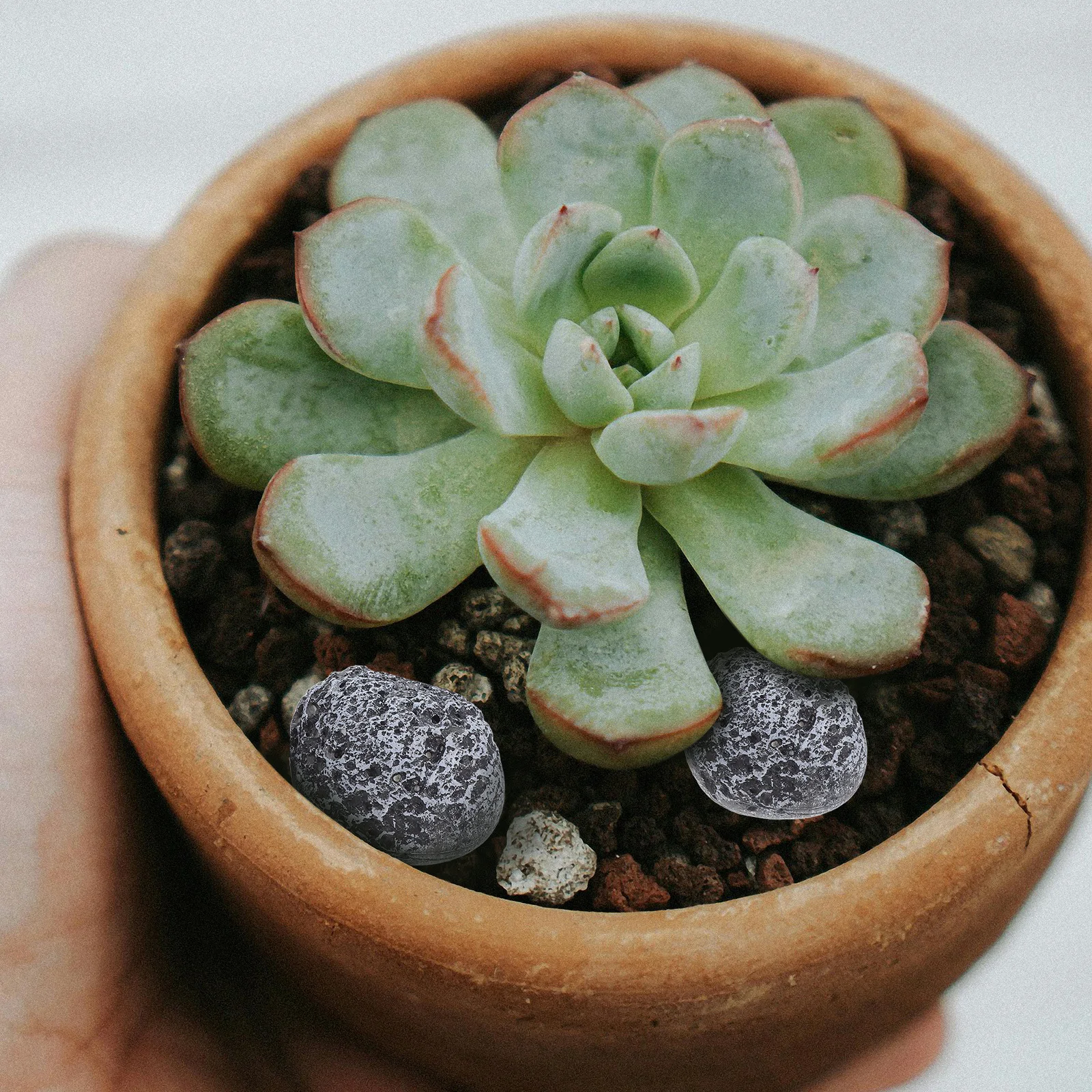 Pierres artificielles décoratives réalistes, 6 pièces, fausses pierres pour artisanat, bricolage, Simulation de pierre de jardin, Terrarium, plantes d'aquarium