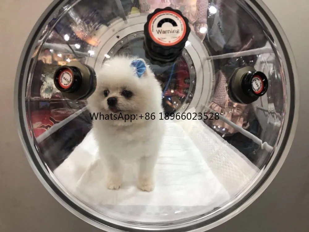 Top quality HP600 pet Hyperbaric Oxygen Chamber Medical Equipment Ultrasonic Veterinary