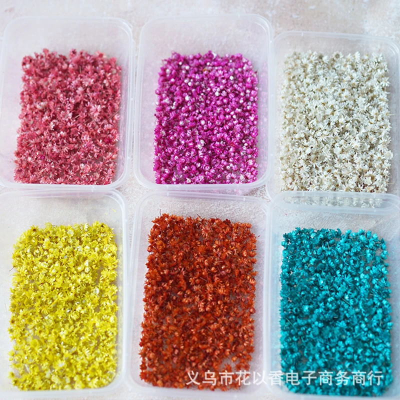 140Pcs/Bag Dried Flowers Multicolor Mini Dried Flowers DIY art craft candle making Dry embossed flowers for court party Decorati