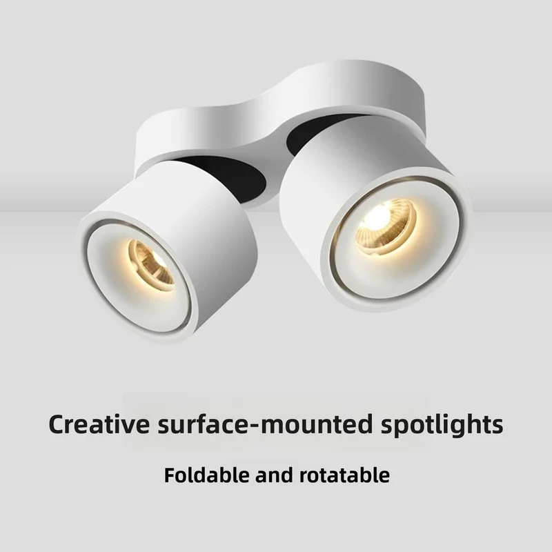Surface Mount LED Ceiling Spotlight Adjustable Rotatable Downlight Black Indoor Ceiling Lamp Living Room Hallway Home Decor