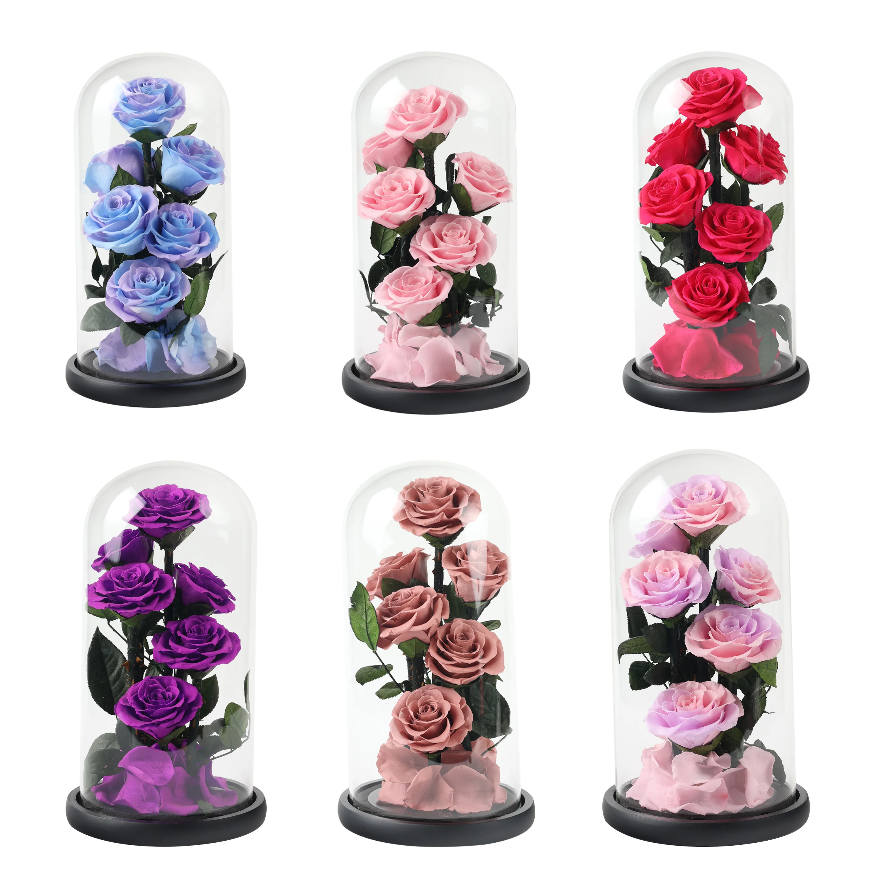 Preserved Roses in Glass Dome 6Heads Real Roses Eternal Flowers Gifts for Valentines & Mother's Day, Anniversary, Christmas