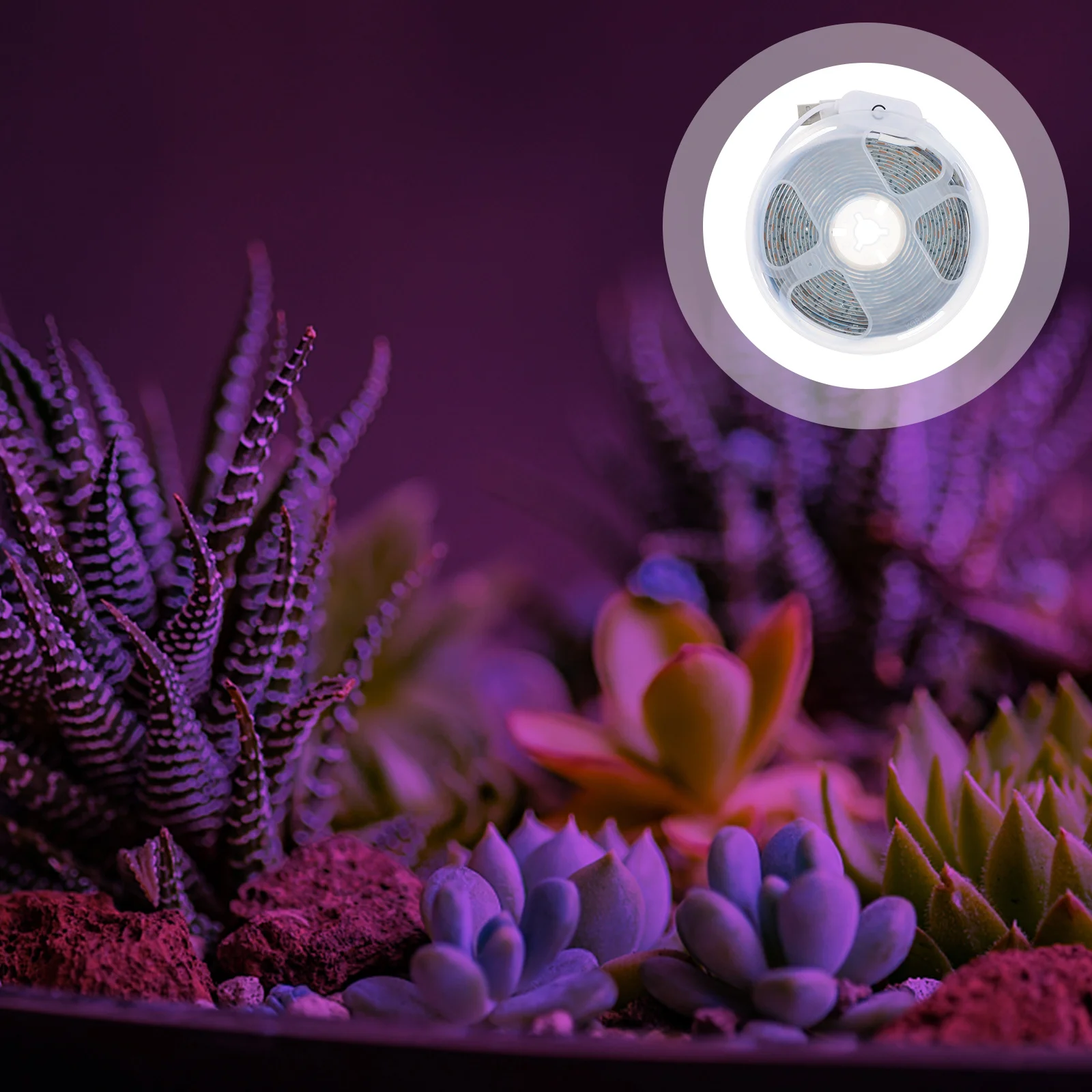 USB LED تنمو شرائط مصباح الطيف الكامل النبات شريط مصابيح يعزز تنبت تزهر مصباح النمو الداخلي LED تنمو شرائط مصباح #3