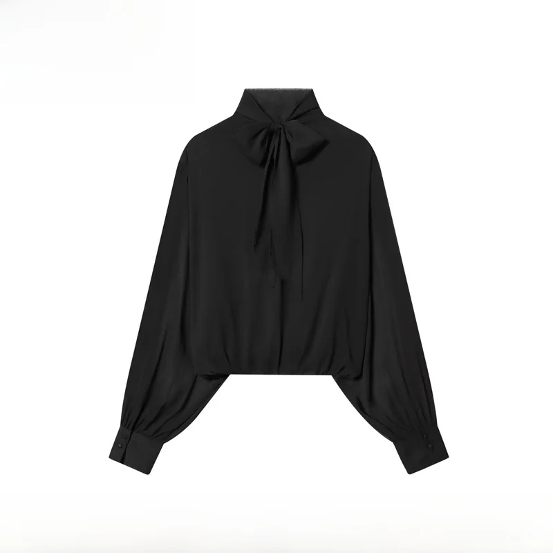 

Новая модная полупрозрачная женская блузка EVEA с рукавами-фонариками, прозрачная, в европейском стиле, из полиэфирного волокна, с длинными рукавами