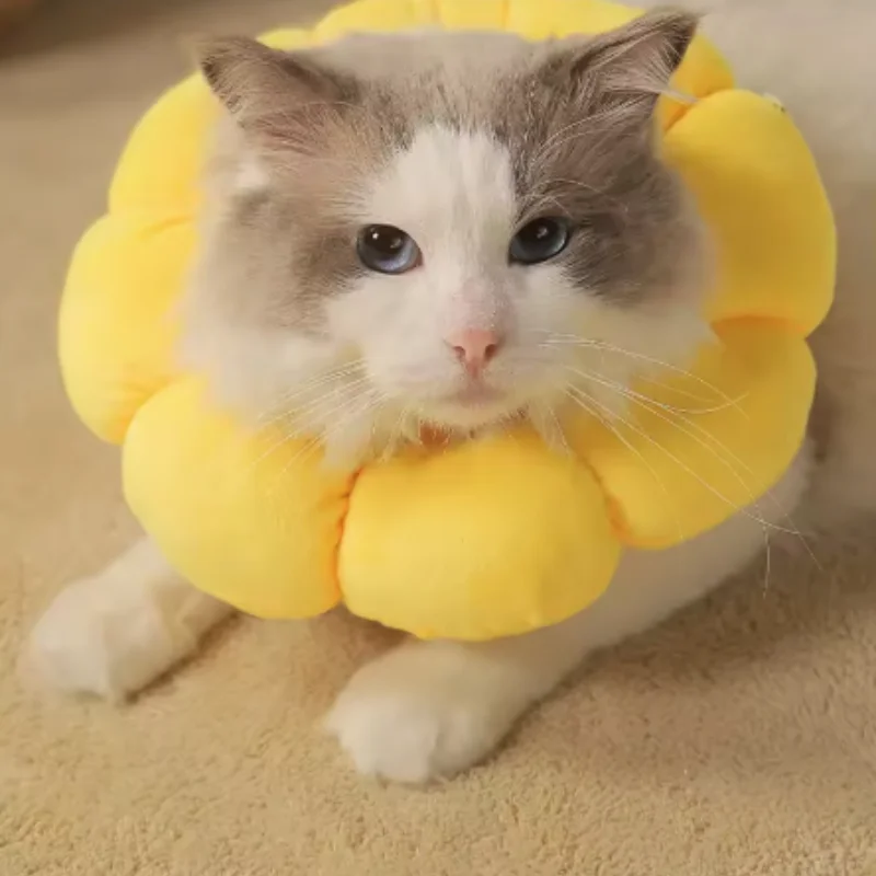 Pet Sunflower Elizabethan-Kragen für Katzen, verstellbar, zum Schutz vor Beißen, für die Genesung nach Operationen, zum Schutz vor Lecken, aus weichem Plüsch, zum Schutz der Wundheilung. – Detail 4