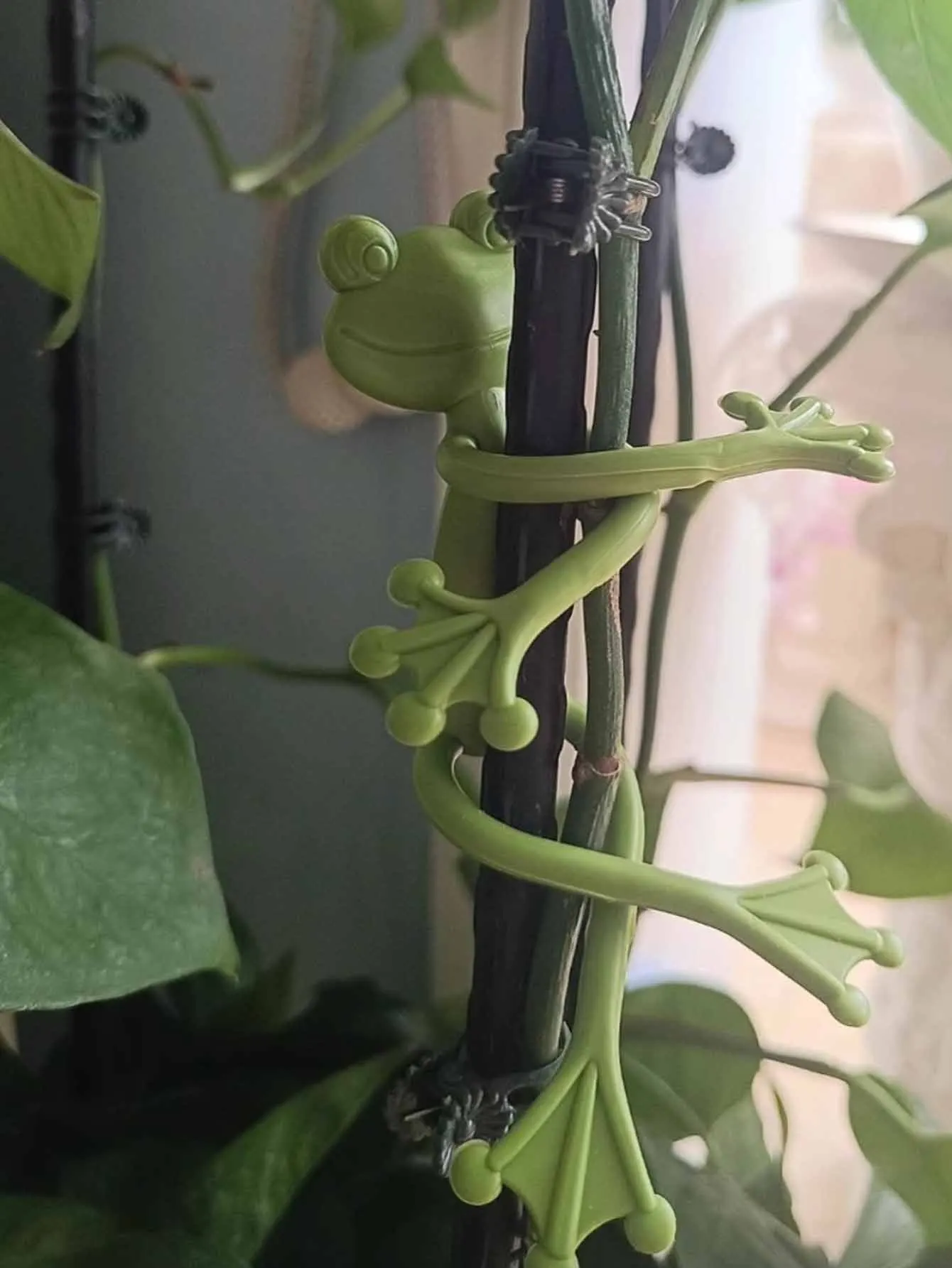Cute Frog Plant Holder, Pot Clips for Climbing Plants Vine Support, Cartoon Plant Branch Fasteners, Indoor Outdoor Garden Decor