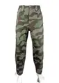 Fragmented  PANTS