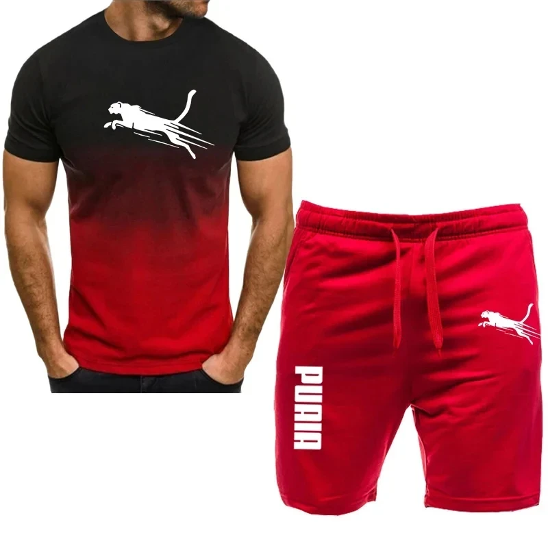 Spring/Summer Fashion Men's Casual Sports Short sleeve suit, two-piece set, T-shirt and pants, men's wear, Summer fashion