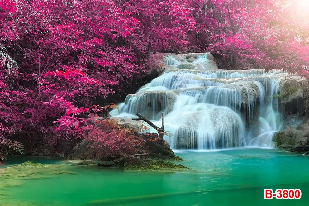 Natural Scene Rainbow Waterfall Backdrops Spring Flower Trees Landscape Wall Interior Decor Backgrounds Photography Studio Photo