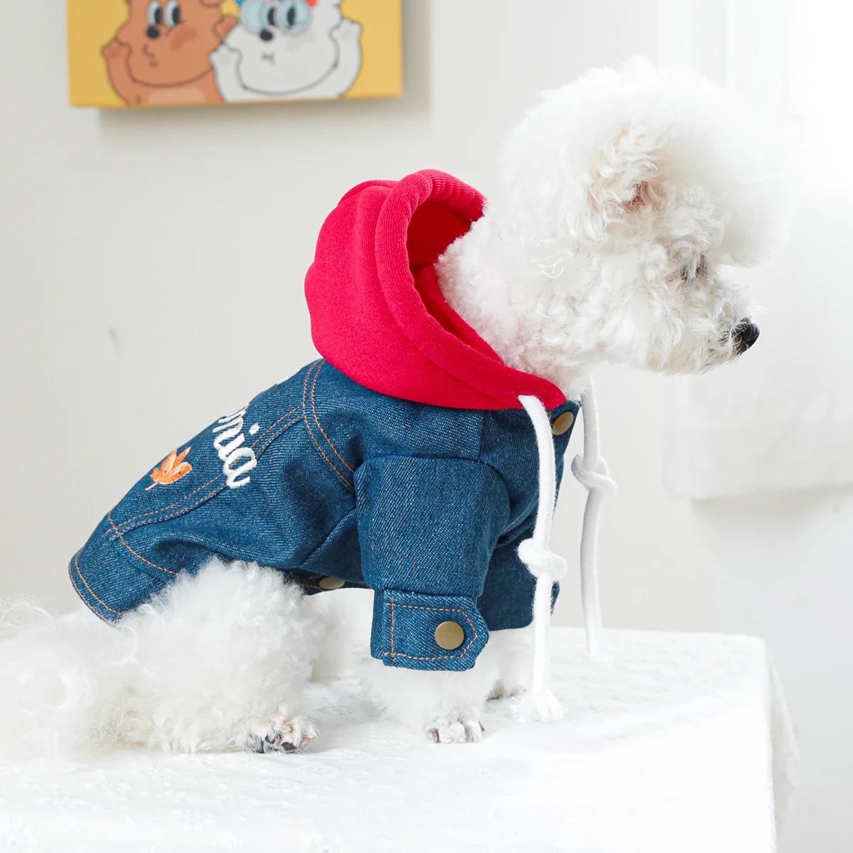 1PC Pet Clothing Dog Cat Spring handsome California cowboy red hat traction coat suitable for small to medium sized dogs