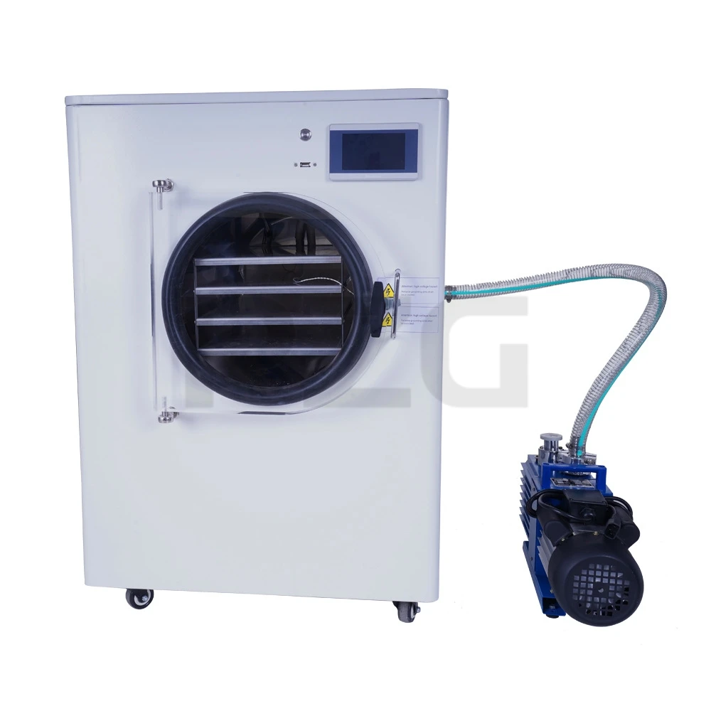 Low Consumption Freeze Dryer Lyophilizer Home Use Drying Equipment Fruits Milk Food Commercial Vacuum Pump 42 kg Capacity China