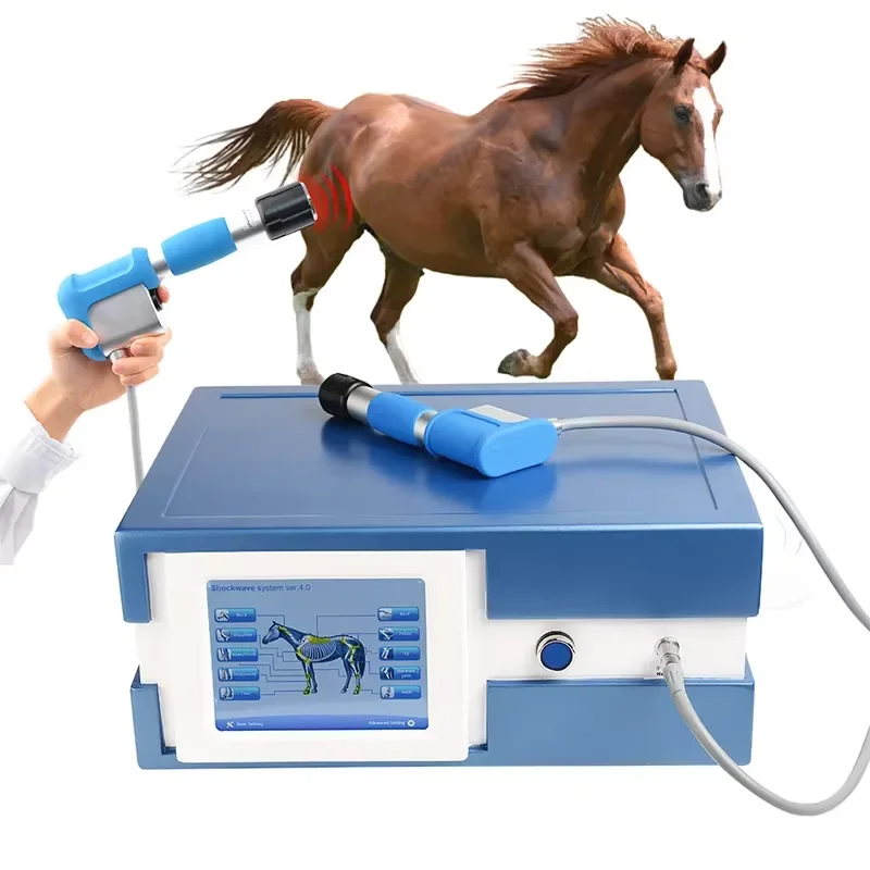 Portable Home Body Focused Shockwave Therapy Machine Physiotherapy Massage Therapy Machine Veterinary Equine For Horse