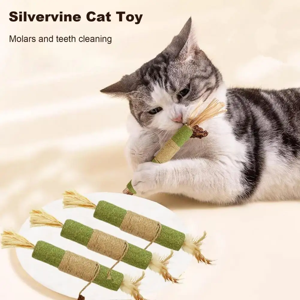 Catnip Silvervine Chew Sticks Natural Catnip Cat Toy Promote Digestion Soothe Mood Teeth Cleaning Cat Dental Care Toy Hemp Rope