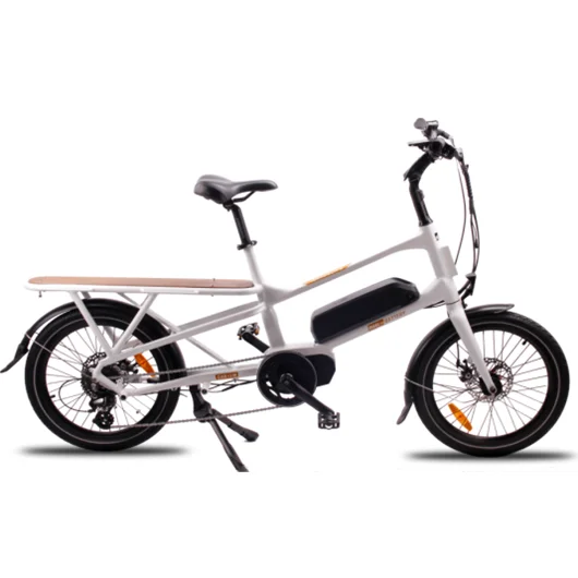 Novo estilo 20 polegadas 250W bicicleta de carga com bateria de lítio de duas rodas