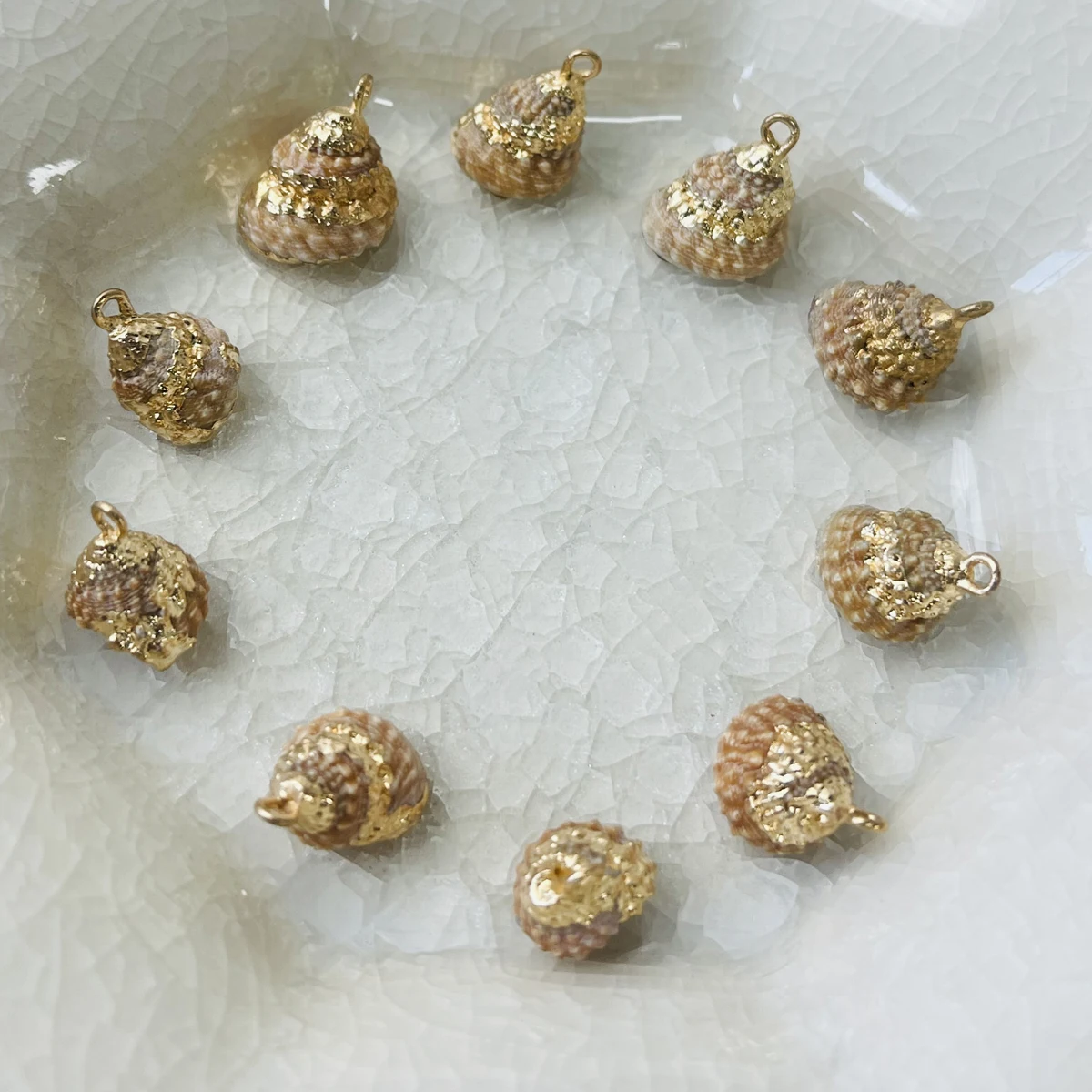 10pcs Exquisite Natural Freshwater Conch Shell Charms 10-15mm Shells Pendants For Jewelry Making DIY Women Necklaces Earrings