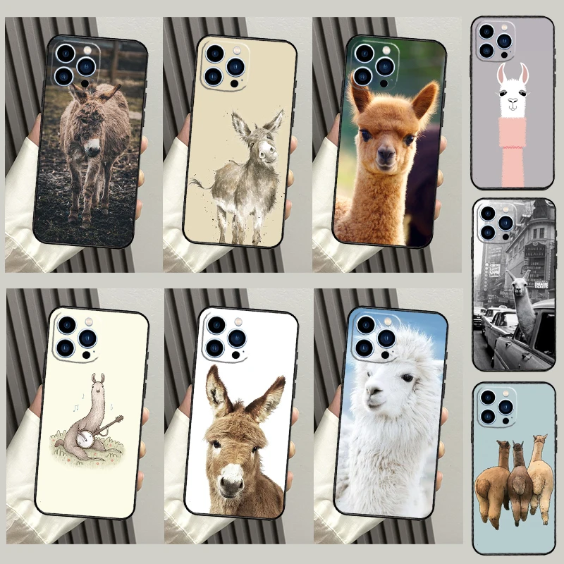 Cute Alpaca Donkey … - image