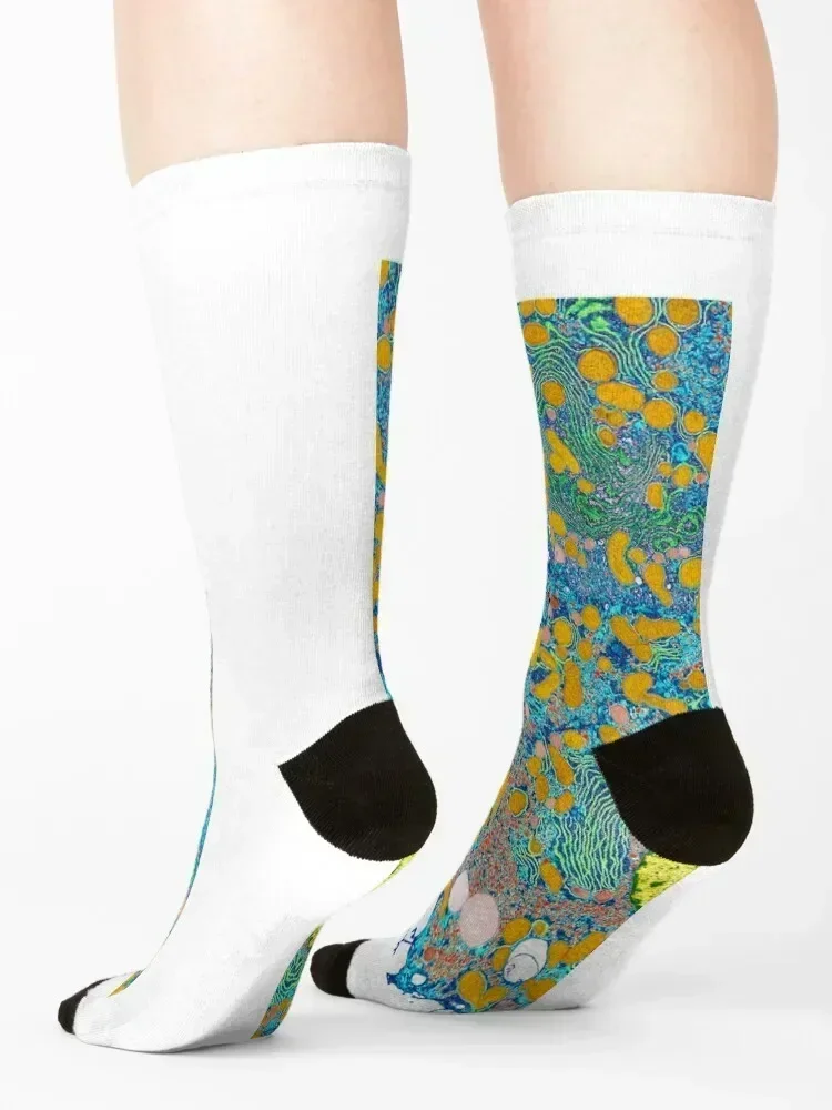 خلايا الكبد، TEM (P530/0191) جوارب لركوب الدراجات هدية مضحكة لصالة الألعاب الرياضية جوارب للأولاد والأطفال للسيدات #4