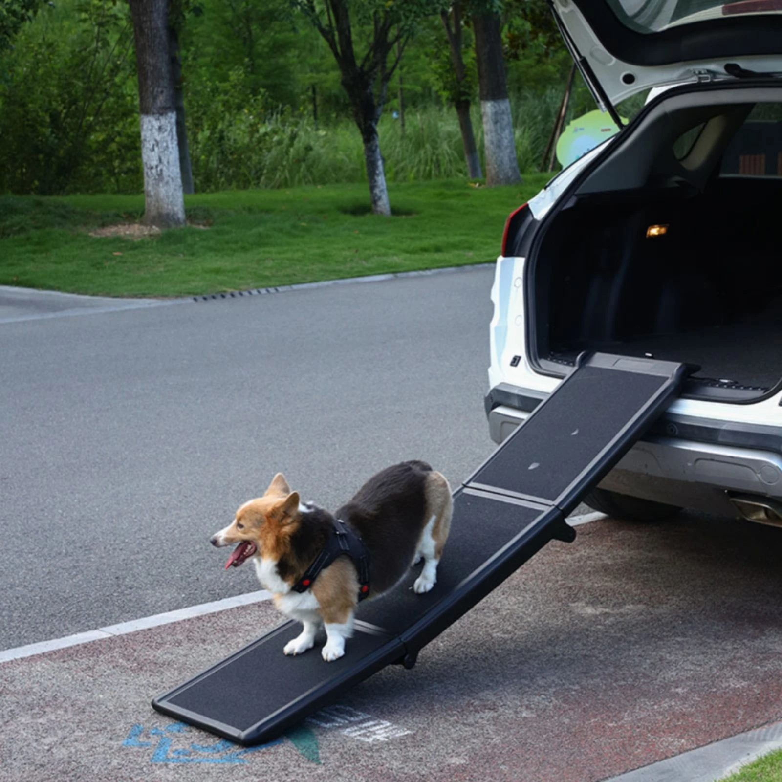 rampe-pour-animaux-de-compagnie-avec-surface-antiderapante-rampe-pour-chien-peu-encombrante-avec-surface-antiderapante-legere-et-robuste-pour-chiens-acces-aux-vehicules-suv